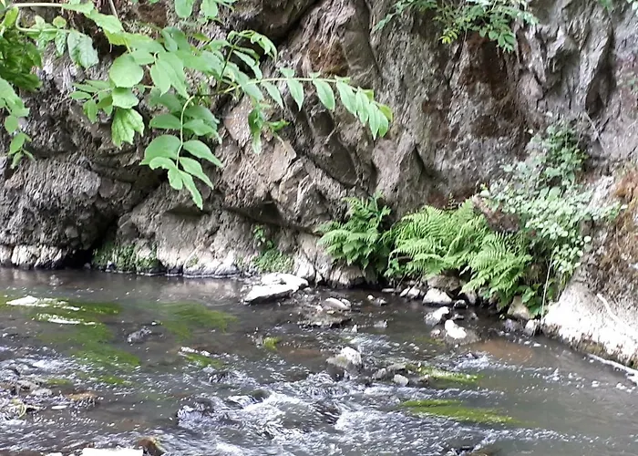 イン Alte Schleuse マンダーシャイト