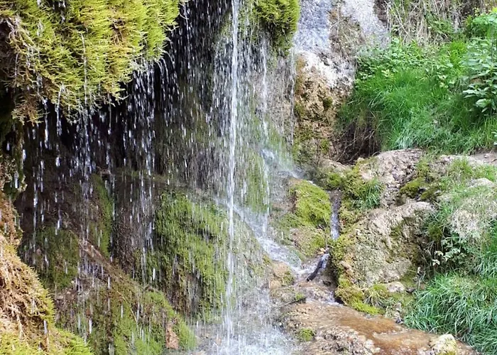 イン Alte Schleuse